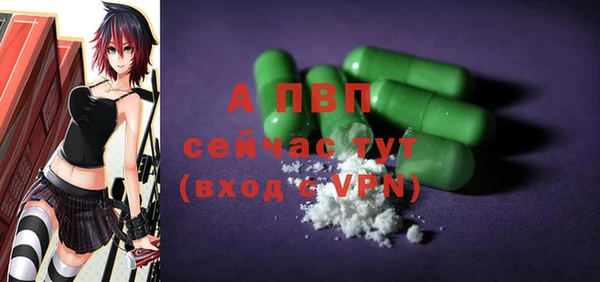 spice Аркадак