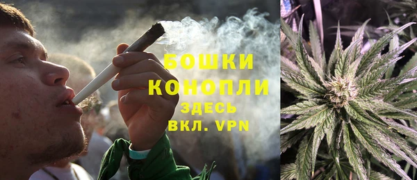 spice Аркадак